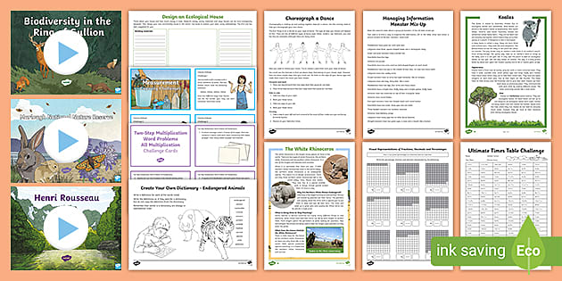 Northern Ireland School Closure P6 Pack 2 (teacher made)