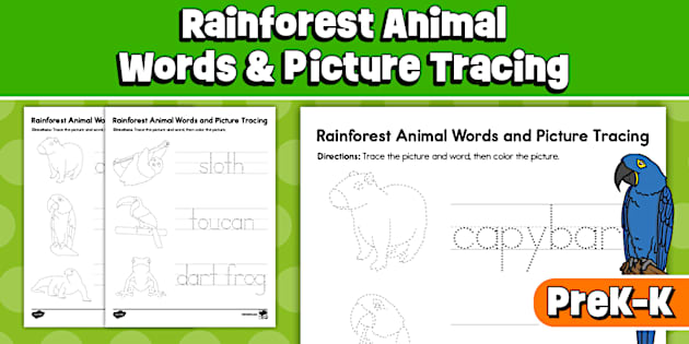 Rainforest Animal Words and Picture Tracing for PreK-K