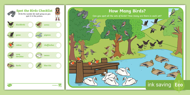 👉 How Many Birds? Activity | Twinkl (teacher made)