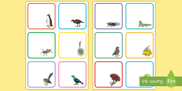 New Zealand Native Flora and Fauna Editable Drawer, Peg, Name Labels