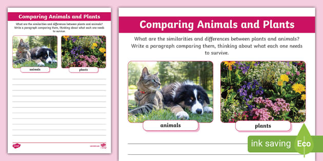 Comparing Animals and Plants Writing Activity (Teacher-Made)
