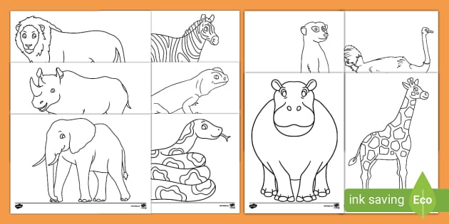 Safari Colouring Sheets (teacher made) - Twinkl