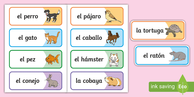 FREE! - Pet Animals in Spanish - Pets Word Cards - Spanish