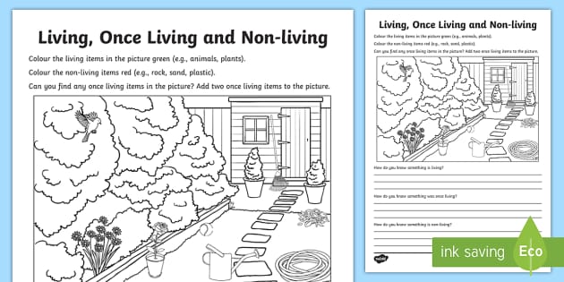 living once living and non living worksheet worksheet