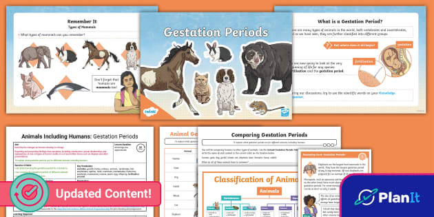 Science: Animals Including Humans: Gestation Periods Year 5 Lesson 1