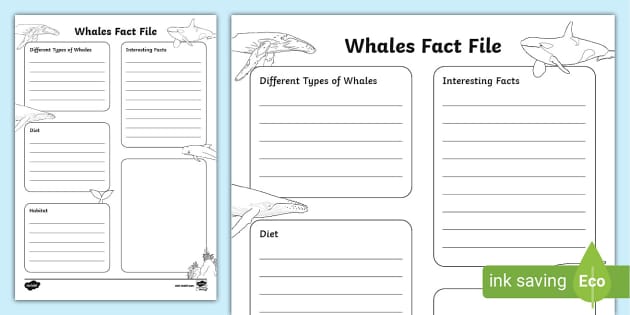 Whale Fact File Template (Teacher-Made)