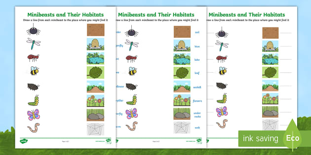 Minibeasts and their Habitats Worksheet - minibeast habitats worksheets