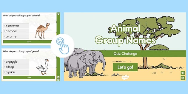 Animal Group Names Interactive Quiz Challenge (Teacher-Made)