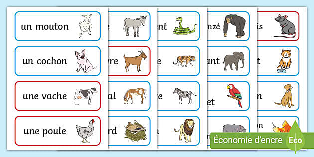 Cartes de vocabulaire sur les animaux