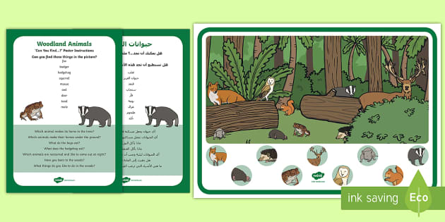 Woodland Animals Can You Find...? Poster and Prompt Card Pack Arabic ...