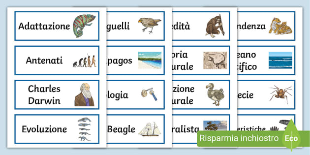 Parole Chiave Su Charles Darwin (teacher Made) - Twinkl