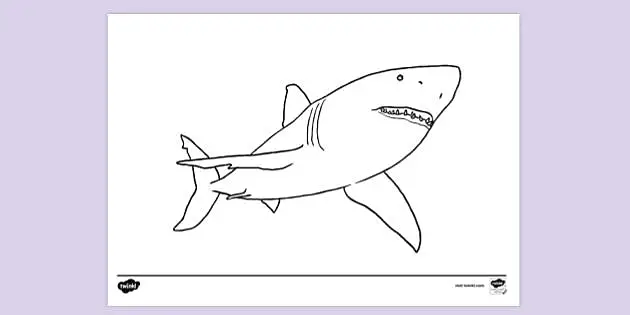 basking shark coloring pages