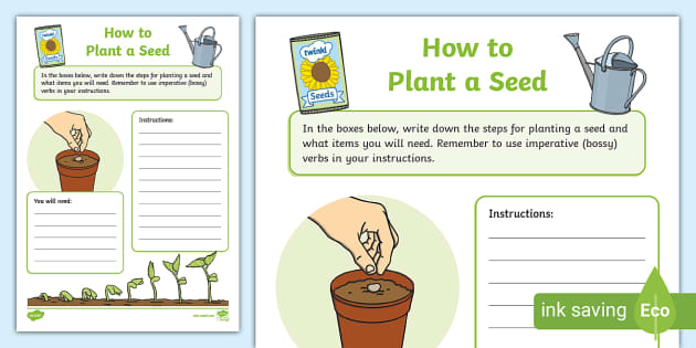 Planting A Seed Instructions Template Planting Seeds