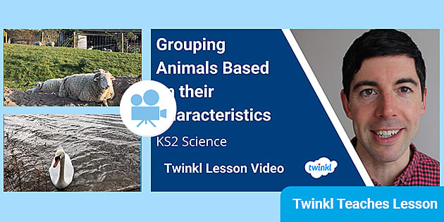 KS2 (Ages 7-11) Science: Grouping Animals Based on their Characteristics Video KS2 (Ages 7-11) Science: Grouping Animals Based on their Characteristics Video