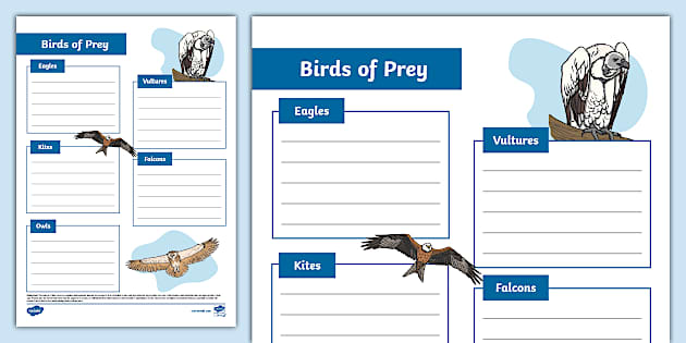 Birds of Prey Fact File Template (Teacher-Made) - Twinkl