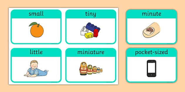 Diminutives Flashcards Teacher Made Twinkl