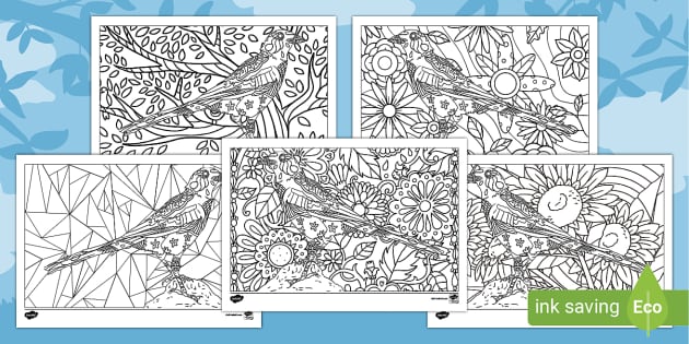 FREE! - Magpie Mindfulness Colouring Activity - Twinkl