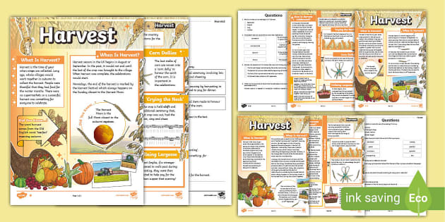 * NEW * LKS2 Harvest Differentiated Reading Comprehension Activity