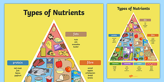 Types Of Nutrients Pyramid Poster | Nutrients In Food