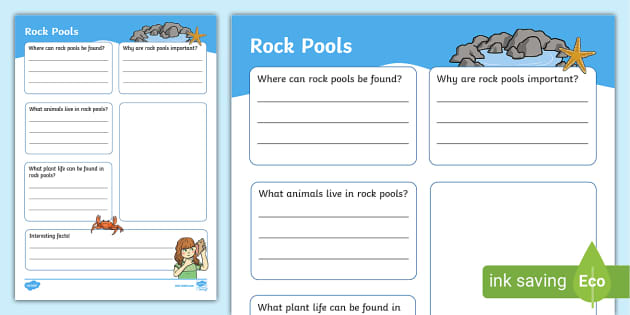 Rock Pool Fact File Template,rock pool writing