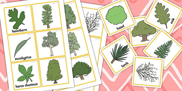 Trees and Leaves Match Up Game -games, activities, matching