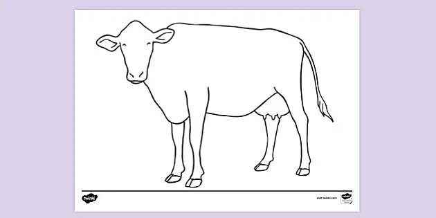 Cow Coloring Page Sketch Template Coloring Book 4 3477 | Cedrqu.org |  Animal coloring pages, Cow drawing, Cow coloring pages