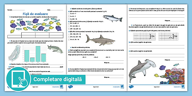 Clasa a III-a: Probleme – Fișă de evaluare cu descriptori