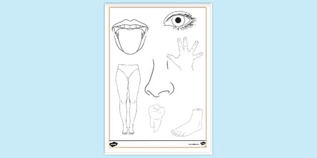 Free Body Parts Colouring Page For Toddlers Eyfs Colouring