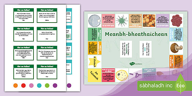 Meanbh-bheathaichean – Geama-bùird (teacher made)