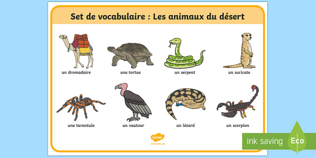 👉 Desert Animals French Word Mat (teacher made) - Twinkl