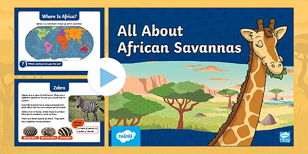 KS1 All About the African Savanna Information PowerPoint KS1 All About the African Savanna Information PowerPoint