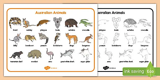 Australian Animals Habitat Word Mat (Teacher-Made) - Twinkl
