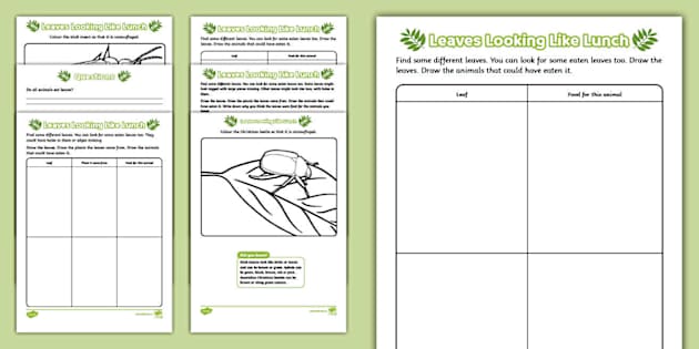 Leaves and Animals Activity Sheets (teacher made) - Twinkl