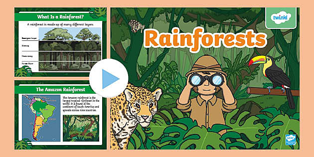 Rainforest PowerPoint KS1