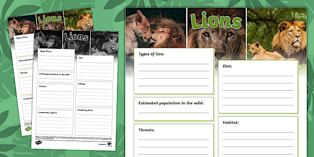 KS2 Lions Fact File Template - Twinkl