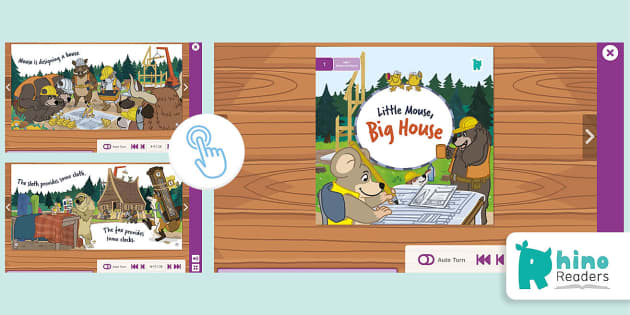Level 1 Unit 1 Reading Scheme Book: Little Mouse, Big House