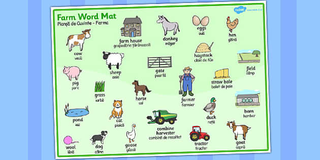 On the Farm Word Mat Romanian Translation - Twinkl