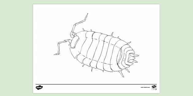 pill bug coloring pages