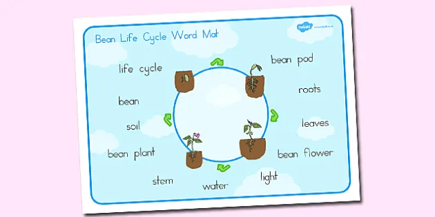 Kangaroo Life Cycle Word Mat - Primary Resource - Twinkl