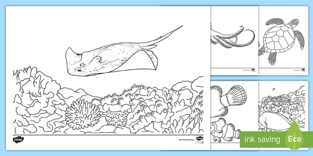 Download Great Barrier Reef Coloring Pages Teacher Made