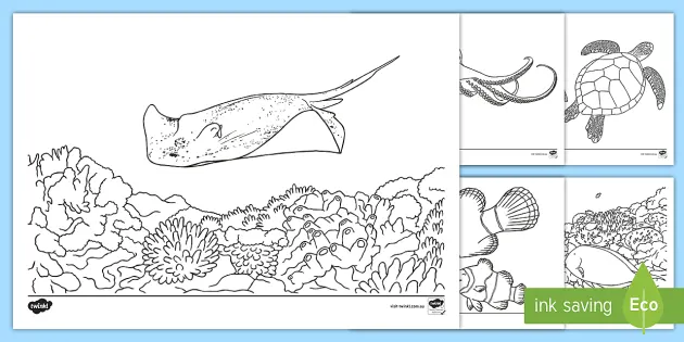 Download Great Barrier Reef Coloring Pages