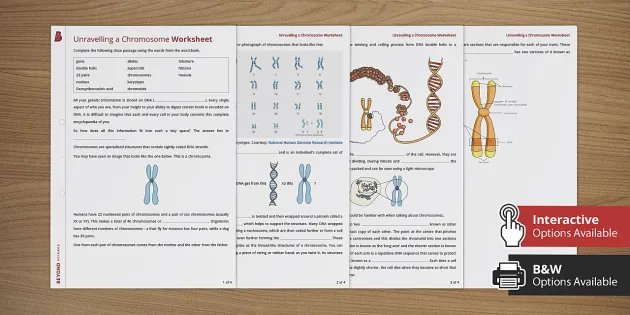 What is a Bead String? - Answered - Twinkl Teaching Wiki