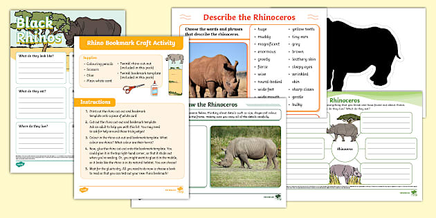 Rhinos Activity Pack (teacher made) - Twinkl