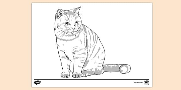 Easy cat outline drawing | whirlgemuma1972's Ownd