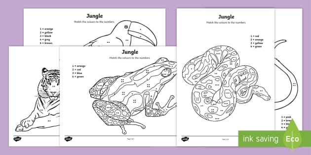 Jungle Colour by Number Counting Worksheet / Worksheet