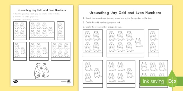 Groundhog Day Odd and Even Math Worksheet (Teacher-Made)