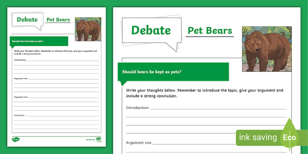 Pet Bears Debate Writing Frame (teacher made) - Twinkl