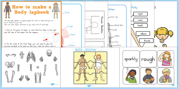 My Body Lapbook Creation Pack (Hecho por educadores)