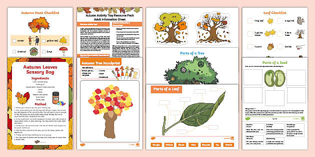 Autumn Activity Tray Resource Pack | Season Lapbook | Twinkl