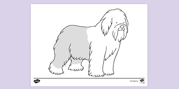 old english sheepdog coloring pages